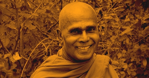 Bhante Henepola Gunaratana Maha Thera, Bhante G